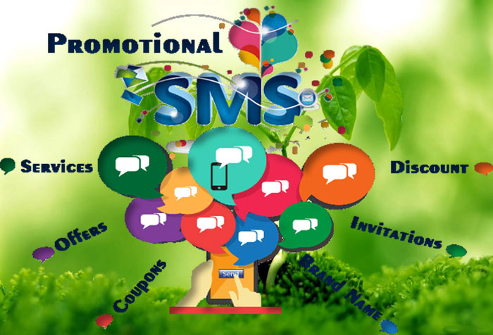 sms text message marketing